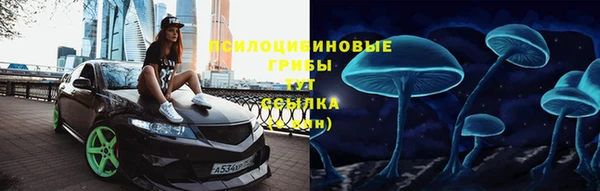 герыч Бородино