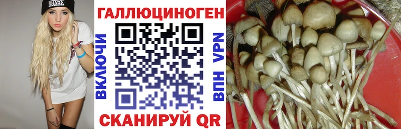 Псилоцибиновые грибы MAGIC MUSHROOMS  Купить  Ейск 